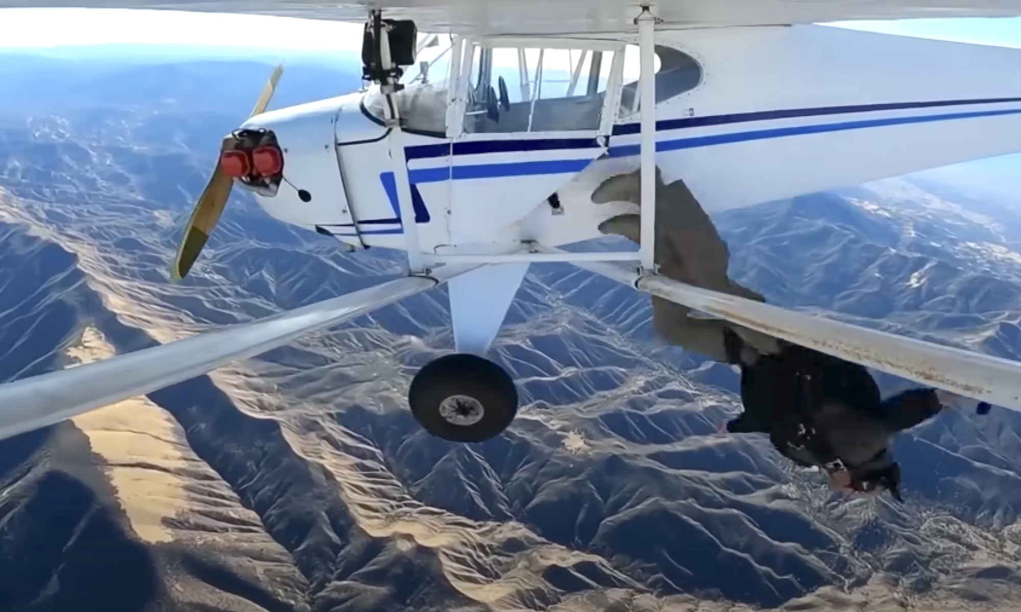 YouTuber Trevor Jacob jumps from his plane shortly before it crashes.