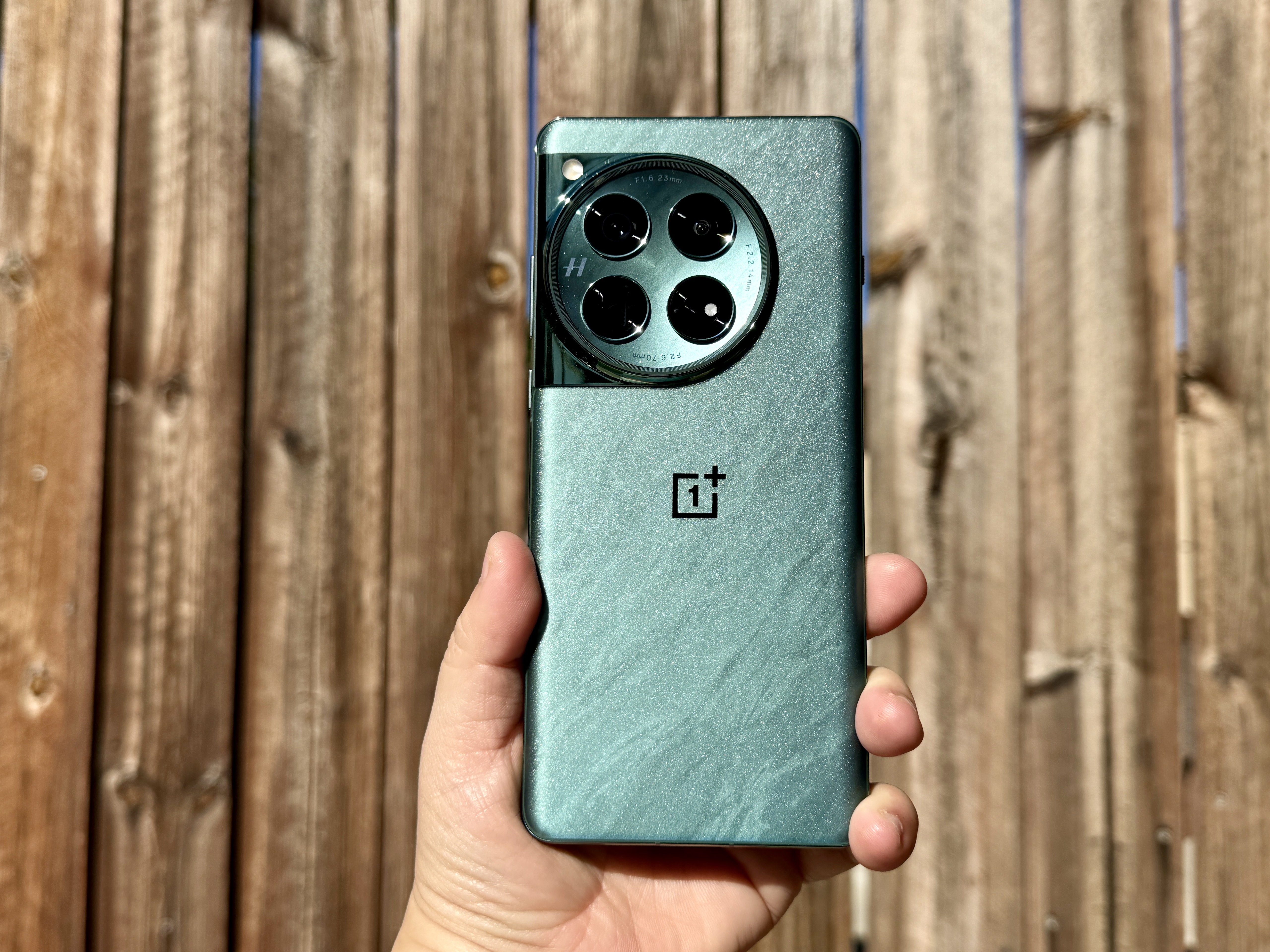 OnePlus 12 in Flowy Emerald held in hand in sunlight.