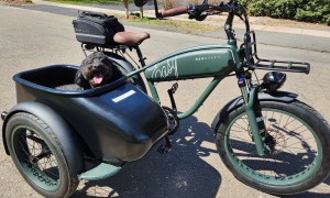 Happy the Double Doodle relaxing in the MOD Easy 3 Sidecar parked on the side of a neighborhood street.