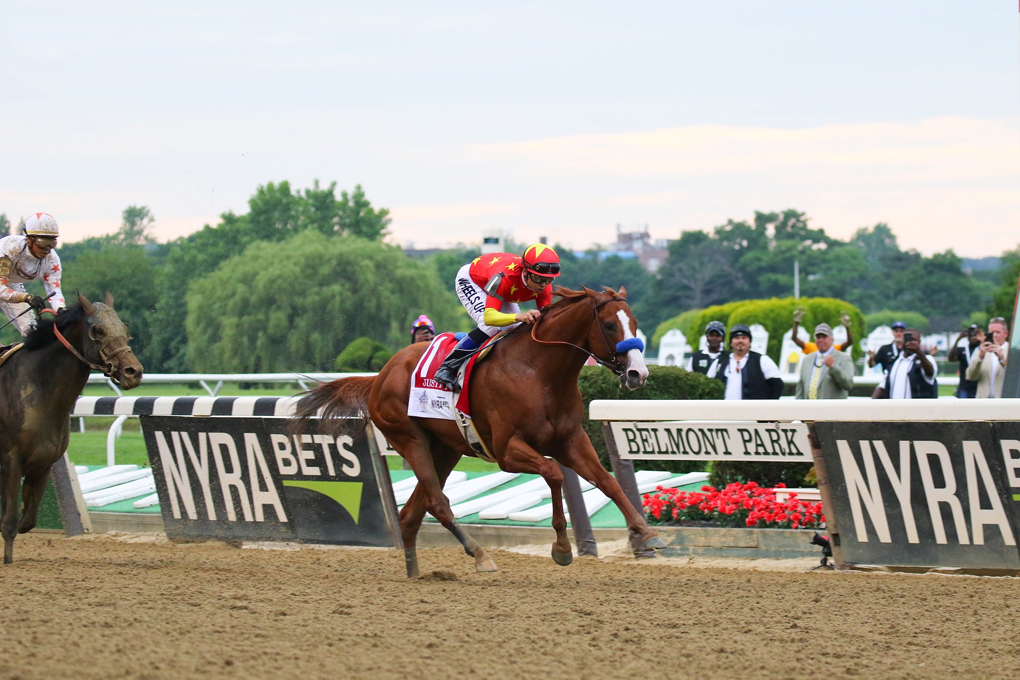 Justify the horse races down the track at the Belmont Stakes.