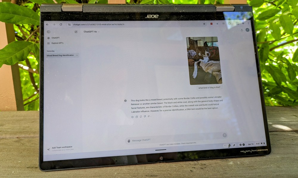 The chatGPT chat screen with an uploaded image, on an Acer, on a bench, on a deck.