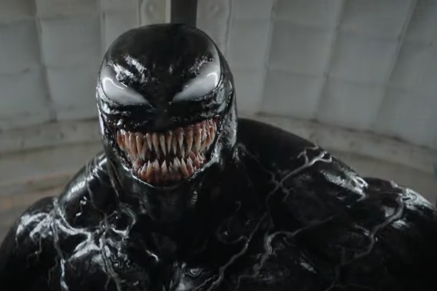 Venom stares and smiles.