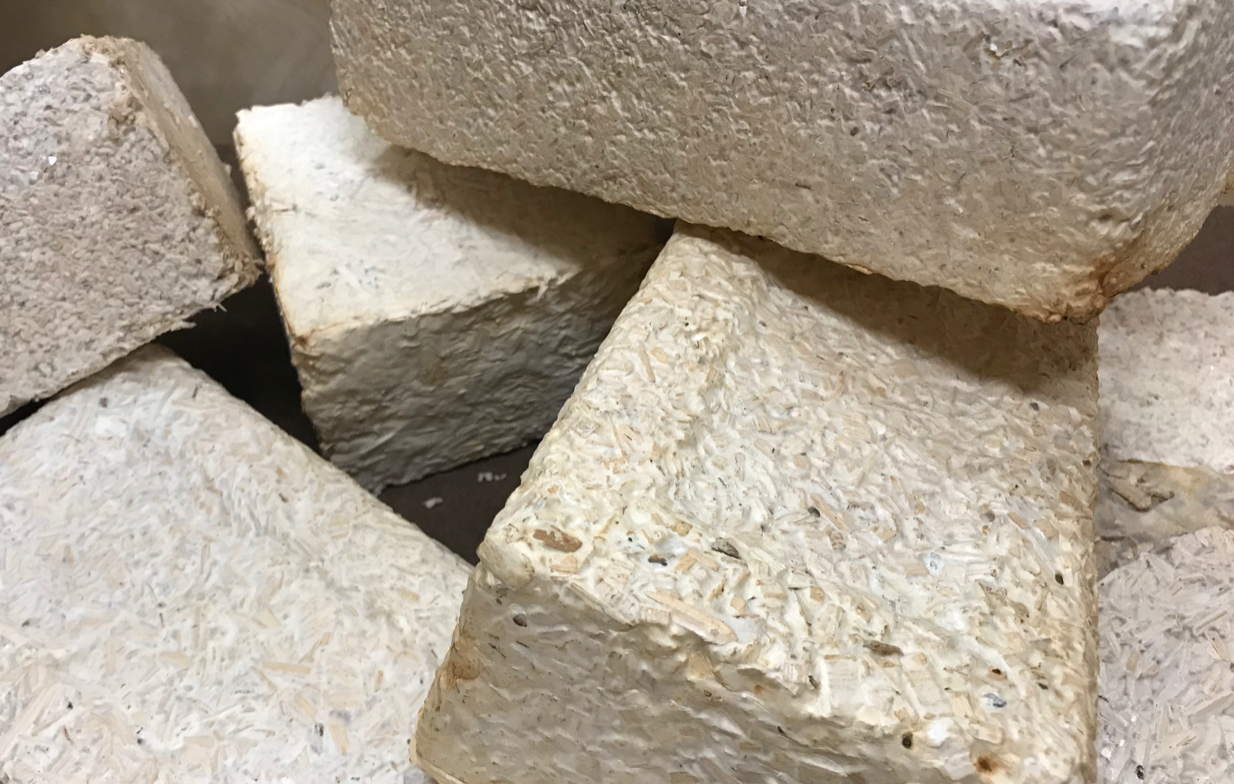 Bricks produced using mycelium, yard waste and wood chips as a part of the myco-architecture project. Similar materials could be used to build habitats on the Moon or Mars.