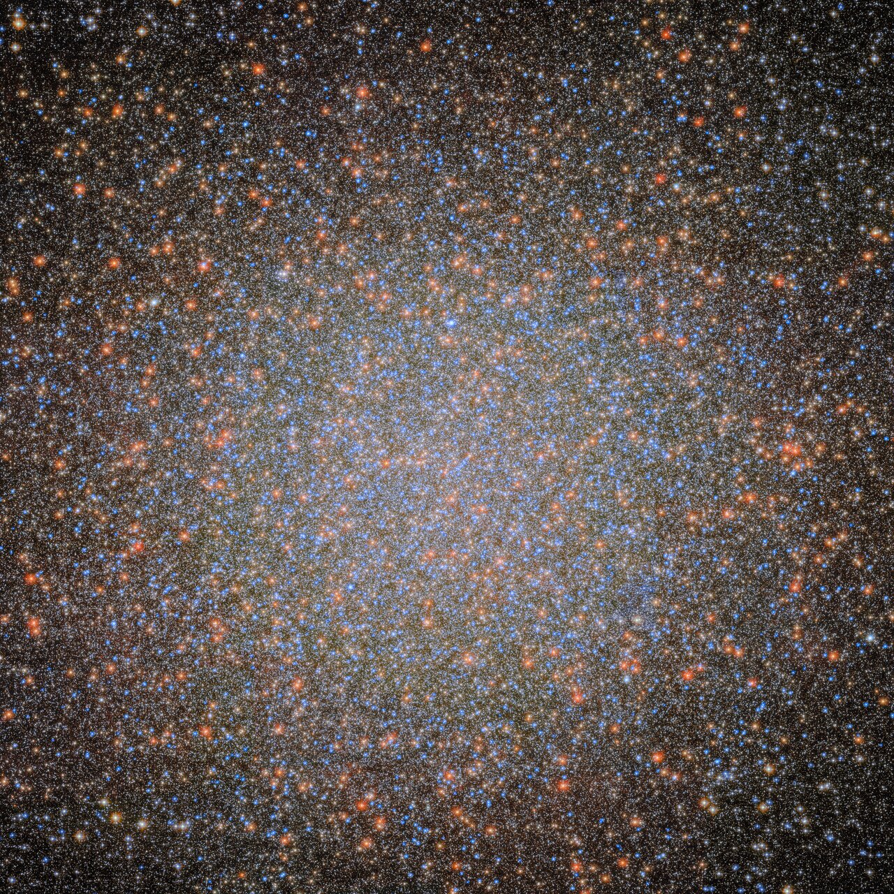 An international team of astronomers has used more than 500 images from the NASA/ESA Hubble Space Telescope spanning two decades to detect seven fast-moving stars in the innermost region of Omega Centauri, the largest and brightest globular cluster in the sky. These stars provide compelling new evidence for the presence of an intermediate-mass black hole.