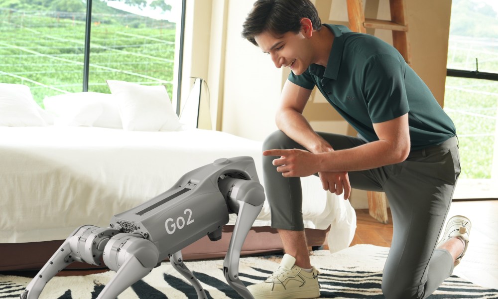 Unitree Go2 robot companion with owner