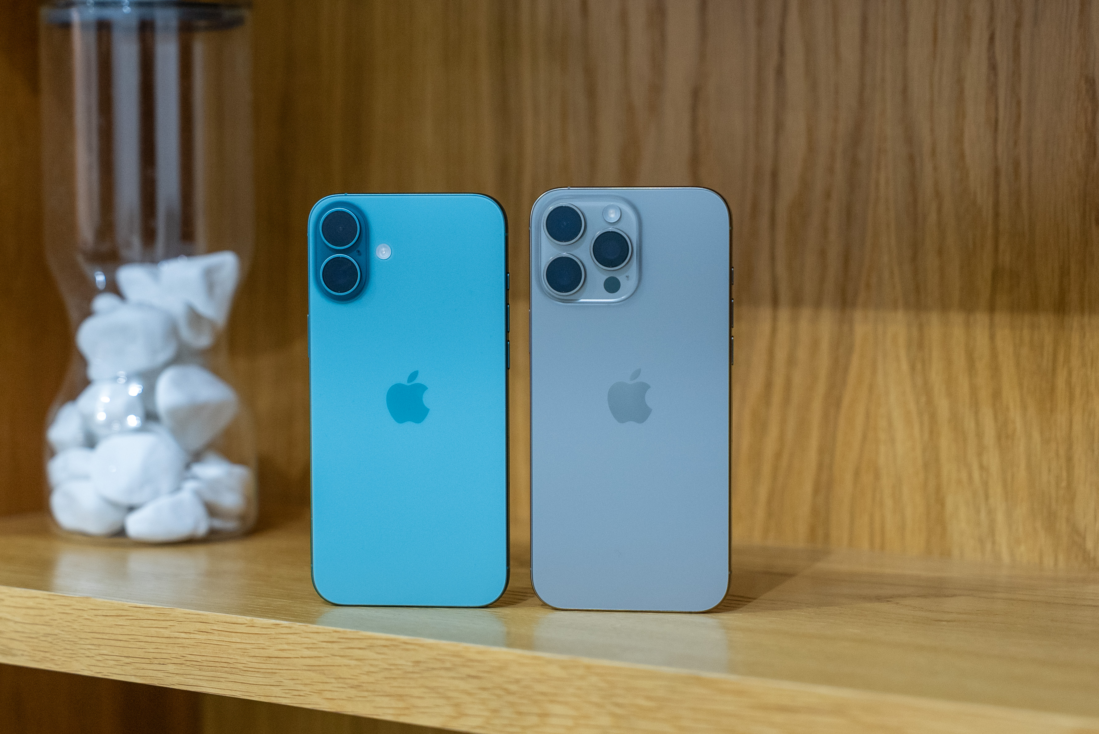 apple iphone 16 plus vs pro max digital trends 7