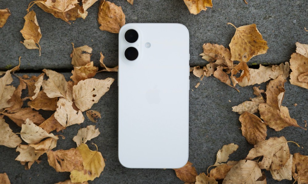 A white iPhone 16 sitting outside, face-down, surrounded by a bunch of leaves.